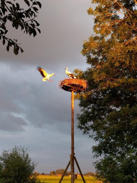 Achterhuis Hamingen Staphorst Luaran gambar